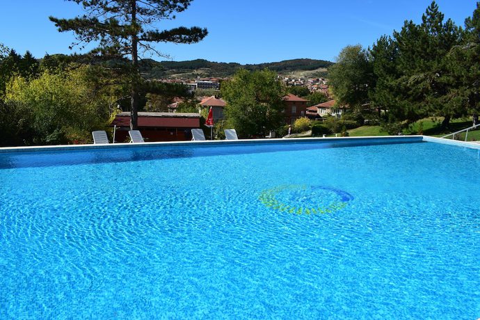 Imagen de la piscina del Hotel Balneo Roza. Foto 14