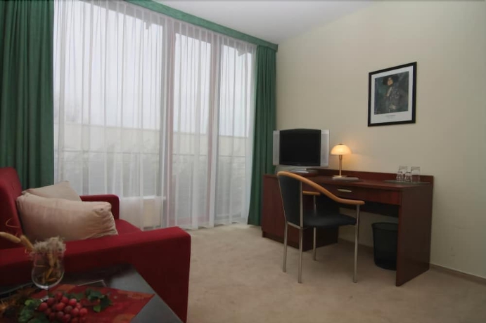 Imagen de la habitación del Hotel Balneolum. Foto 7