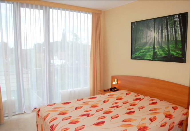 Imagen de la habitación del Hotel Balneolum. Foto 10