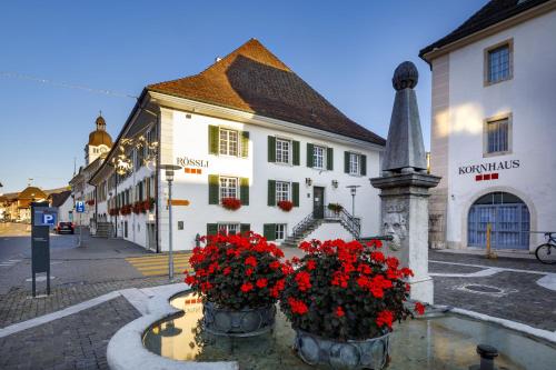 Imagen general del Hotel Balsthal. Foto 7