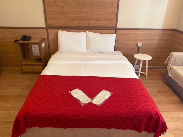 Imagen de la habitación del Hotel Balta. Foto 8