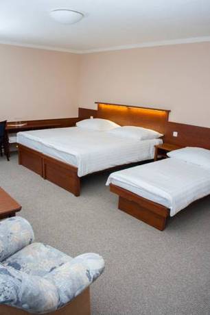 Imagen de la habitación del Hotel Baltaci U Náhonu. Foto 7