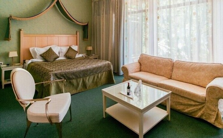 Imagen de la habitación del Hotel Baltiets. Foto 12