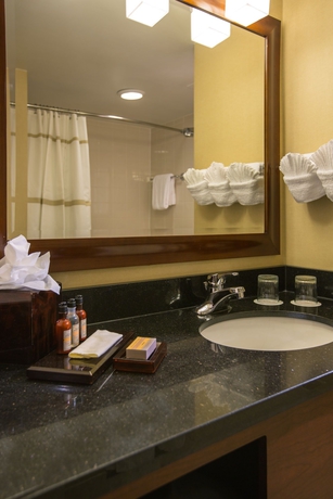 Imagen de la habitación del Hotel Baltimore Marriott Inner Harbor At Camden Yards. Foto 7
