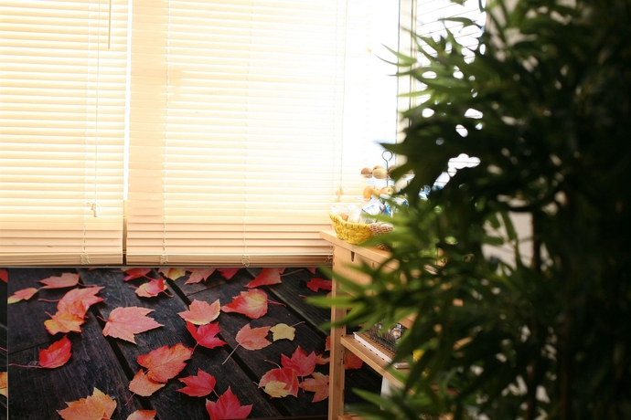 Imagen de los interiores del Hotel Bamboo ByB. Foto 9