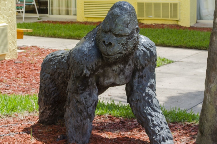 Imagen de los exteriores del Hotel B&B Orlando International Drive Near Universal. Foto 8