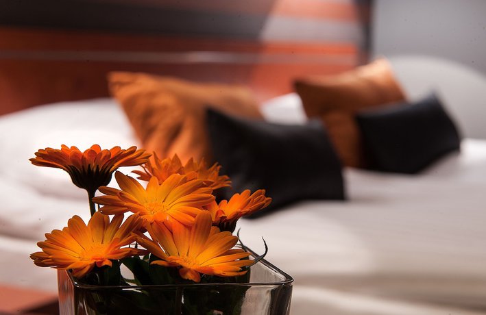 Imagen de la habitación del Hotel B&B Piotrk&oacute;w Trybunalski. Foto 4