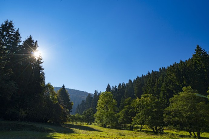 Imagen general del Hotel B&B Sauerland TCF. Foto 4