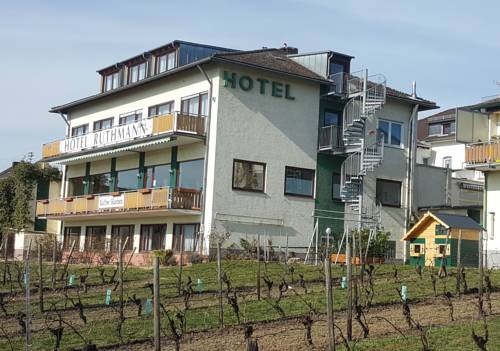 Imagen general del Hotel B&b Ruthmann-rheinblick. Foto 2