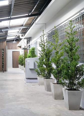 Imagen general del Hotel Ban Hmai. Foto 2