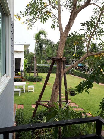 Imagen general del Hotel Ban Lek Resort. Foto 3