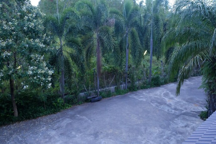 Imagen de los exteriores del Hotel Ban Medsai Resort. Foto 25