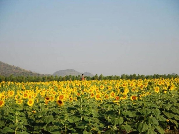 Imagen general del Hotel Ban Rai Pornsawan. Foto 2