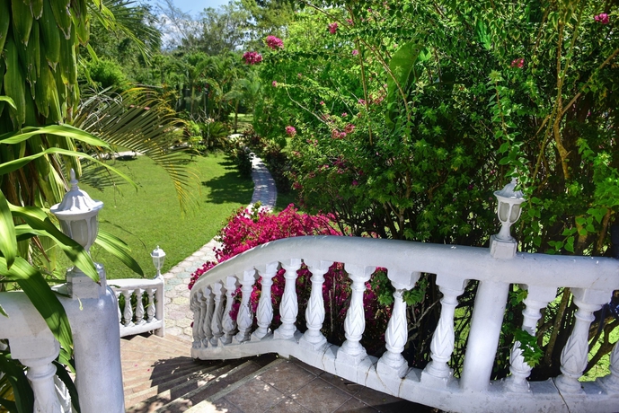 Imagen de los exteriores del Hotel Banana Bank Lodge. Foto 17