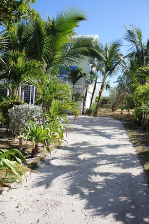 Imagen de los exteriores del Hotel Banana Cabana. Foto 7