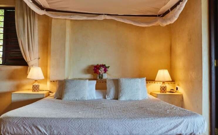 Imagen general del Hotel Banana House And Wellness Centre. Foto 16