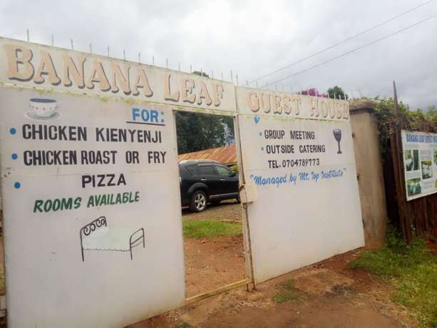 Imagen general del Hotel Banana Leaf. Foto 3