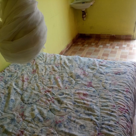 Imagen de la habitación del Hotel Banana Leaf Lodge. Foto 7