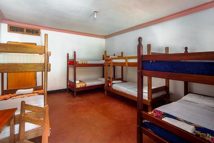 Imagen de la habitación del Hotel Banana Village. Foto 13