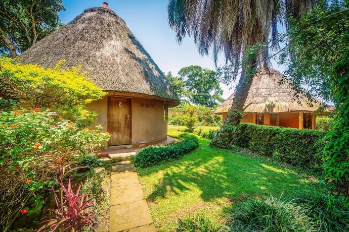 Imagen de la habitación del Hotel Banana Village. Foto 16