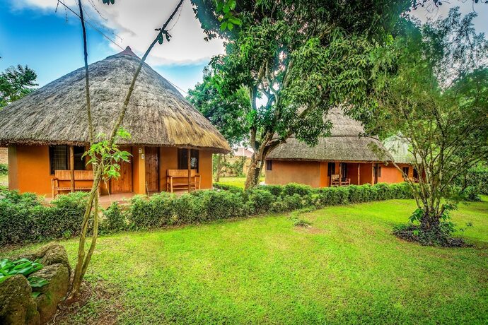 Imagen de la habitación del Hotel Banana Village. Foto 18