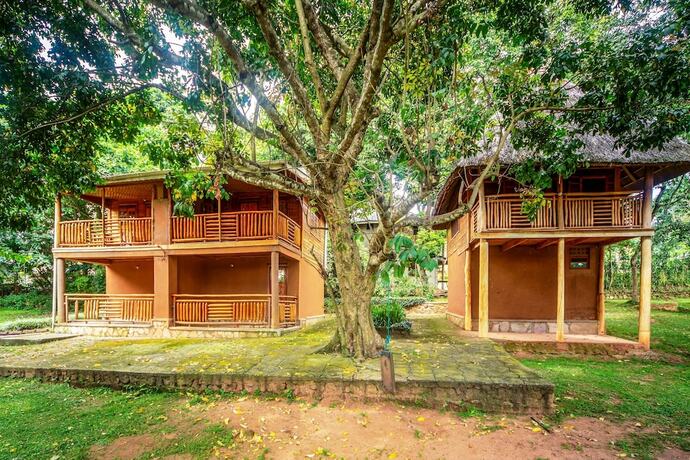 Imagen de la habitación del Hotel Banana Village. Foto 19