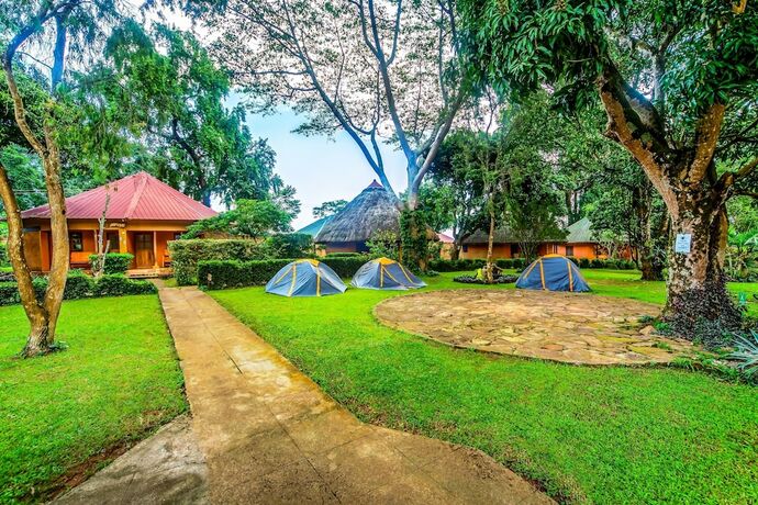 Imagen general del Hotel Banana Village. Foto 10