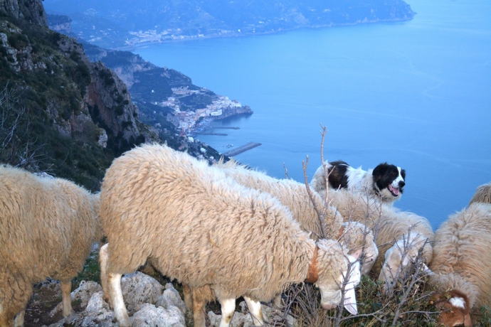 Imagen de los exteriores del Hotel Bandb Miramare, Agerola. Foto 11