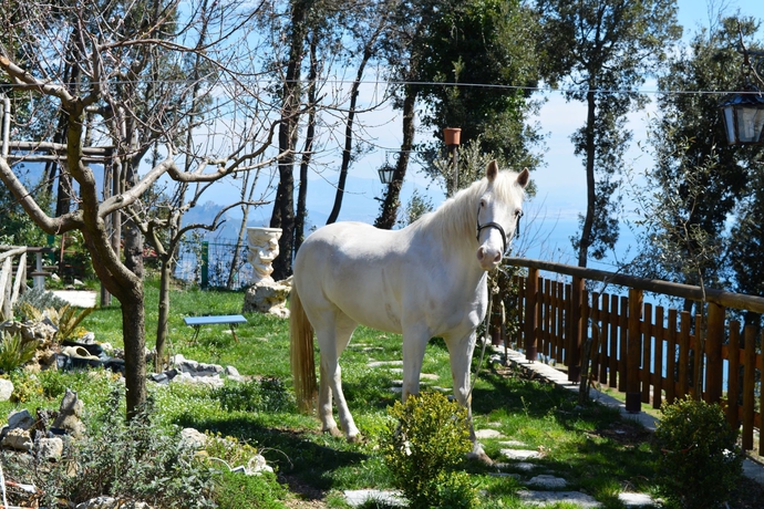 Imagen general del Hotel Bandb Miramare, Agerola. Foto 3
