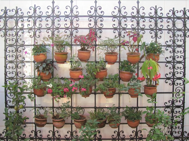 Imagen general del Hotel Bandb Tradiciones. Foto 2