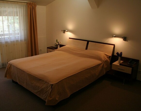 Imagen de la habitación del Hotel Baneasa Parc. Foto 9