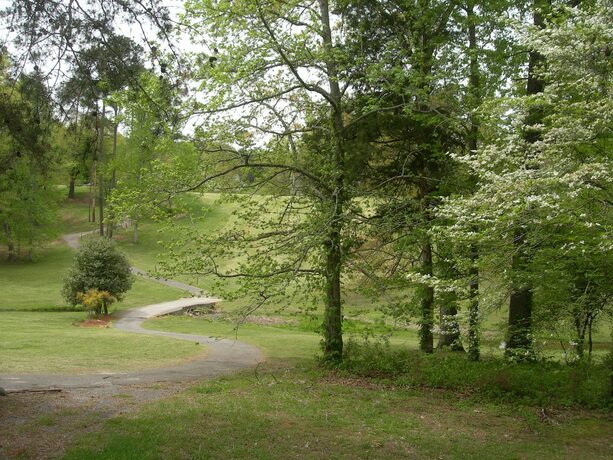 Imagen general del Hotel Baneberry Golf and Resort. Foto 12