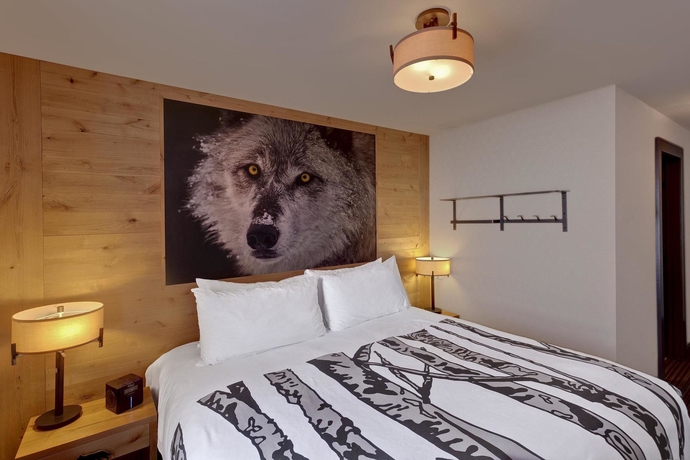 Imagen de la habitación del Hotel Banff Rocky Mountain Resort. Foto 4