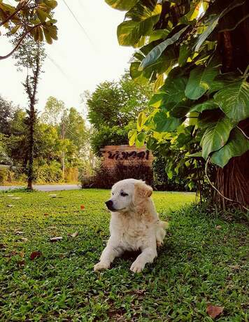 Imagen general del Hotel Bang Wela At Suanphung Resort. Foto 4