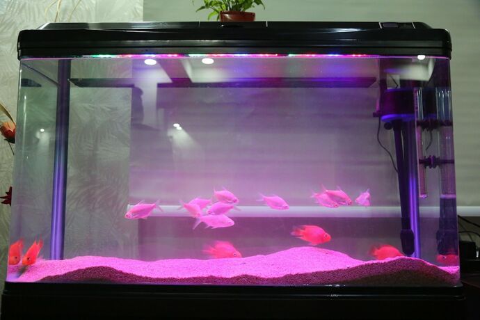 Imagen general del Hotel Bangalore Airport Inn. Foto 6