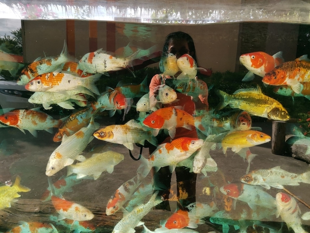 Imagen de los interiores del Hotel Bangkok grand resort. Foto 19