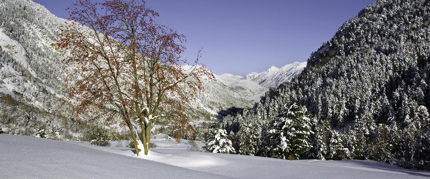 Imagen de los exteriores del Hotel Banhs De Tredos. Foto 7