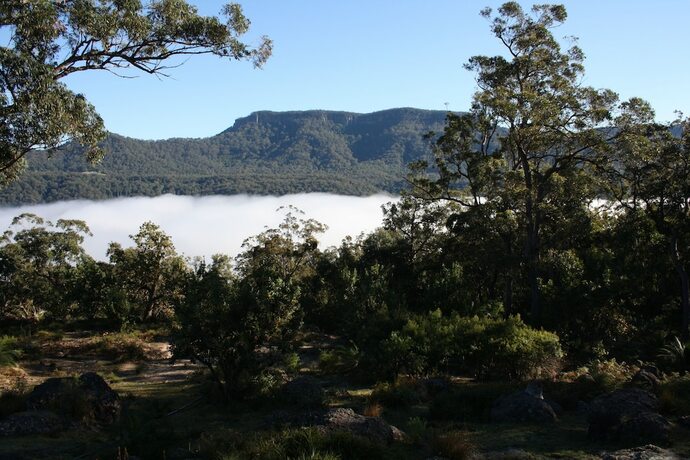 Imagen general del Hotel Banksia Park Cottages. Foto 9
