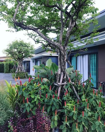 Imagen general del Hotel Bannjamjuree Resort Sattahip. Foto 12