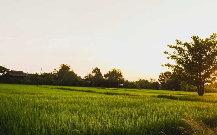 Imagen de los exteriores del Hotel Bannkrithamed Chiangmai. Foto 17