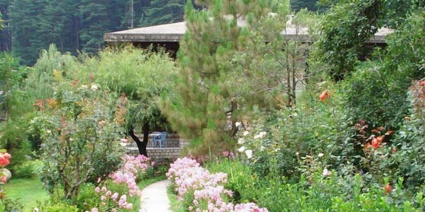 Imagen general del Hotel Banon Resorts, Manali. Foto 16