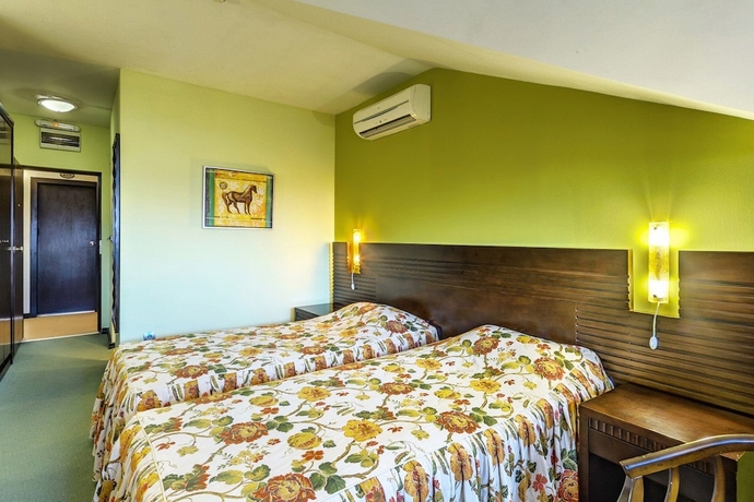 Imagen de la habitación del Hotel Bansko Spa and Holidays. Foto 6