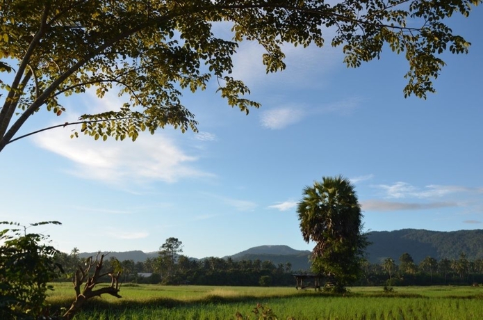 Imagen de los exteriores del Hotel Bansonmanee Homestay. Foto 8