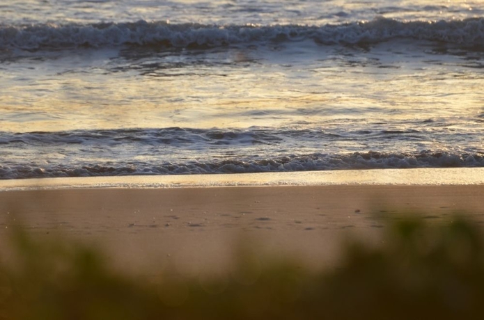 Imagen de los exteriores del Hotel Bansonmanee Homestay. Foto 10