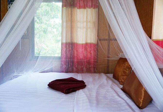 Imagen general del Hotel Bansuan Thanormpat Resort. Foto 4