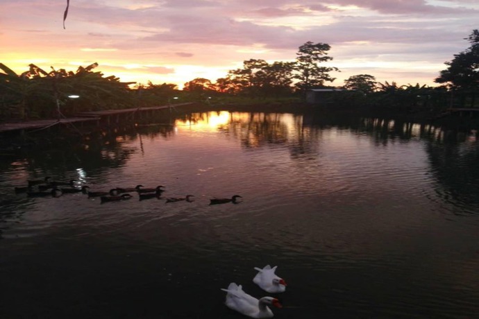 Imagen de los exteriores del Hotel Banter Resort. Foto 12