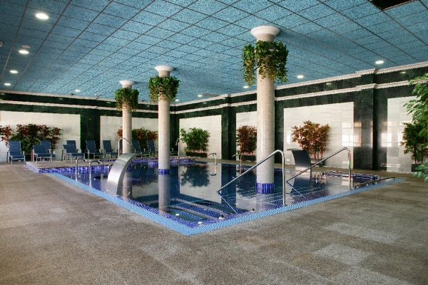 Imagen de la piscina del Hotel Baños de la Concepcion. Foto 6