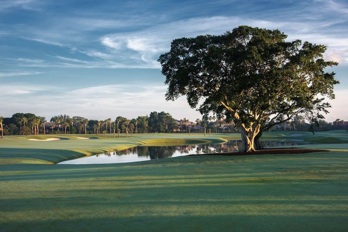 Imagen general del Hotel Banyan Cay Resort and Golf. Foto 2