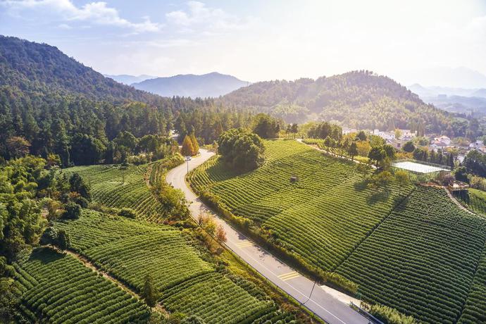 Imagen de los exteriores del Hotel Banyan Tree Anji. Foto 5