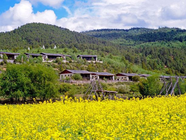 Imagen general del Hotel Banyan Tree Ringha. Foto 1